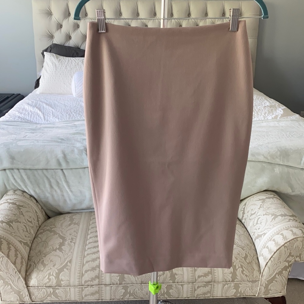 Express blush skirt